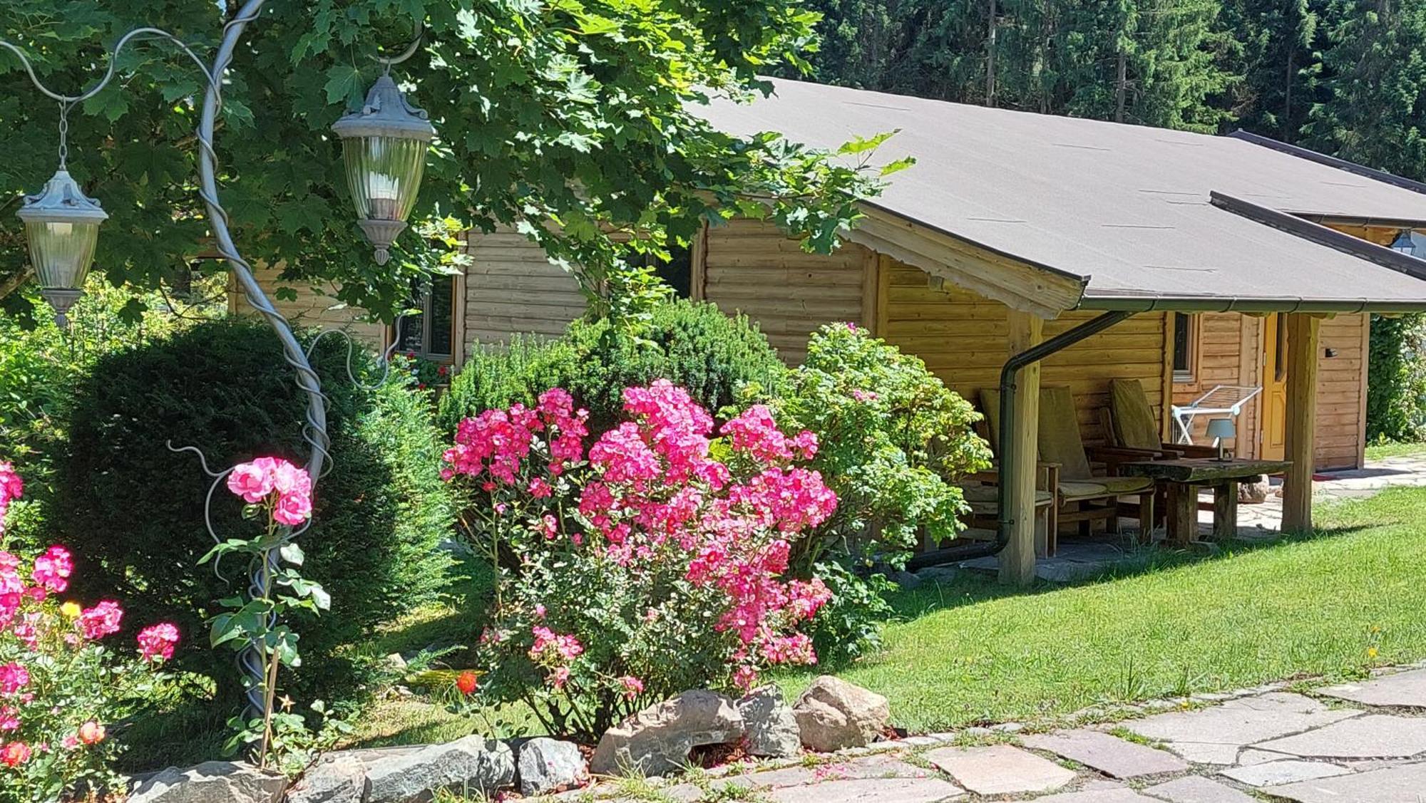 Gartenhotel Rosenhof Bei Kitzbuehel Oberndorf in Tirol Luaran gambar