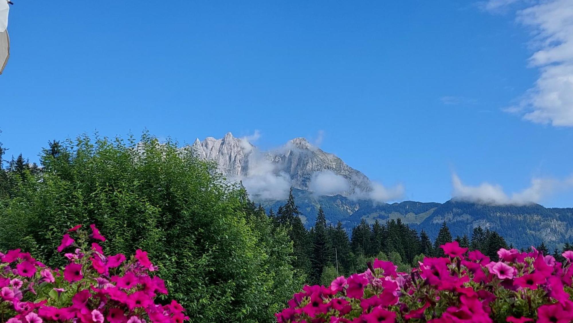 Gartenhotel Rosenhof Bei Kitzbuehel Oberndorf in Tirol Luaran gambar